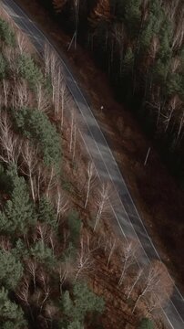 Drone footage looking down on a winding asphalt road cutting through mixed autumn forest with pines and birches in the Ural Mountains, Russia, natural landscape