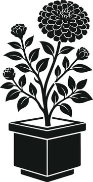 Black silhouette potted zinnia flower plant isolated white background decorative vector illustration
