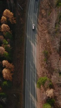 Drone view of a curving asphalt road cutting through mixed conifer and deciduous forest in the Ural Mountains, Russia, in early spring with bare trees and evergreens
