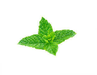 Mint leaves isolated on white, Close-Up. © romiri