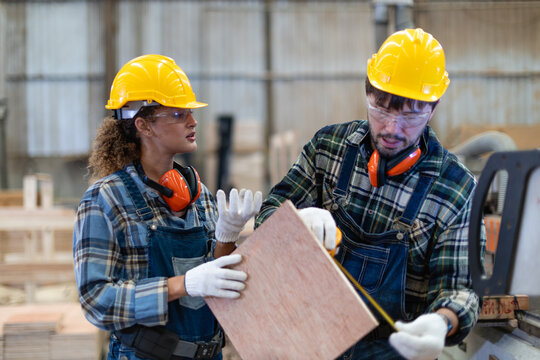 A carpenter checks plywood for woodworking with a tape measure while his female colleague holds the piece in their wood workshop.