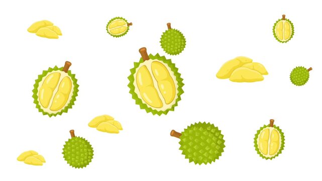 set fruit durian animation on white background