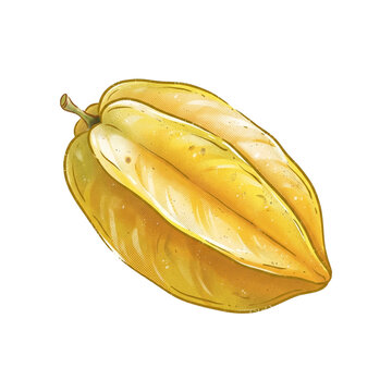 Fresh Star Fruit Carambola Watercolor Botanical Illustration Transparent Background