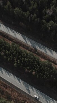 Drone view of a paved highway cutting through dense forest with long shadows and autumn colors, showing rural transport infrastructure in the Ural region, Russia
