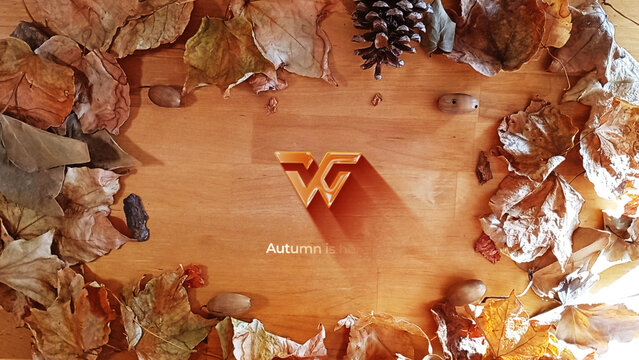 Autumn Realistic Logo Reveal Wide