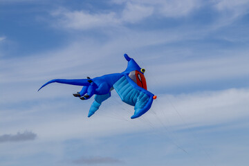Shy Dinosaur bird kite © WildFowler
