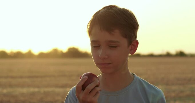 Boy eats fresh apple in sunlit field at sunset. Child enjoys healthy outdoor snack and farm life. Warm golden light creates wholesome rural mood during summer harvest outdoors today.