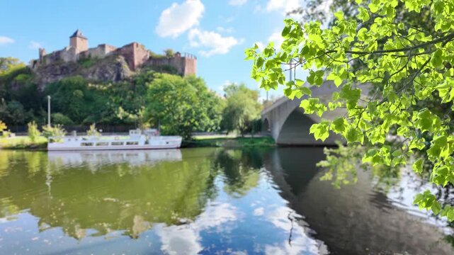 green plant branch in foreground of blurred idyllic landscape with Burg Giebichenstein on the Saale River, Halle (Saale), Saxony-Anhalt, Germany