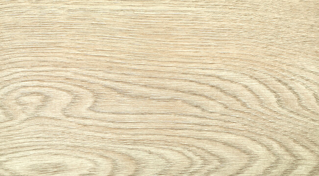 Light ash wood texture background with natural grain pattern