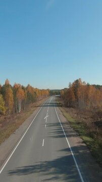 FPV aerial footage flying above a straight empty rural highway surrounded by colorful autumn forest under clear blue sky, scenic travel and transportation concept