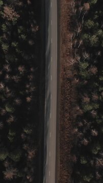 Top down aerial footage of a lone car driving along an empty asphalt road through mixed forest in the Ural Mountains, Russia, autumn landscape and travel concept
