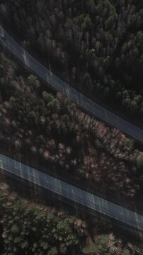 Top down aerial footage of a curving asphalt road cutting through dense conifer forest in the Ural Mountains, Russia, with long shadows and minimal traffic