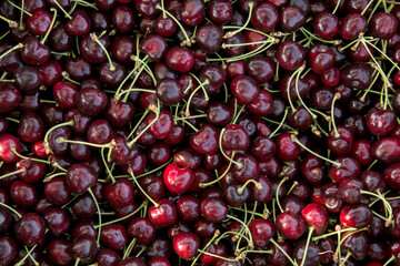 Freshly harvested dark red cherries fill a market display crate completely, showcasing their glossy skins, green stems, and rich ripe textures in natural daylight. © bulentbaris