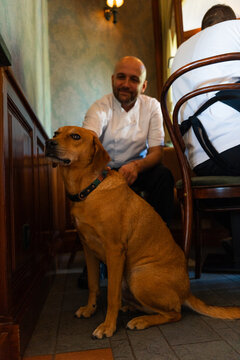 Restaurant Worker Petting a Dog Inside the Dining Room