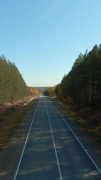 FPV drone footage flying above a straight empty asphalt road through pine forest with autumn colors and clear sky, scenic countryside transport route in daylight