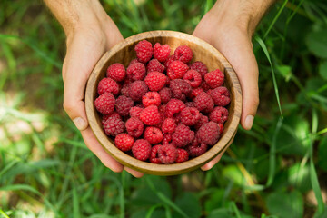 Fresh ripe red raspberries in a rustic wooden bowl held by hands outdoors in a lush green garden. Natural organic berries, summer harvest, healthy food and fresh fruit concept. © Тетяна Шустик