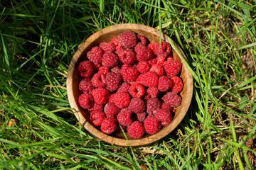 Close-up of fresh ripe raspberries in a wooden bowl placed on green grass outdoors. Colorful seasonal berries representing fresh fruit, berry harvest, natural food, healthy eating and summer produce. © Тетяна Шустик