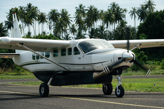 Small Turboprop Plane Taxiing In Front Of Palm Trees