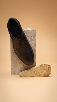 Black Leather Formal Shoe on Rock