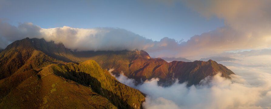 Golden Mountain Ridge Emerging Above a Sea of Clouds