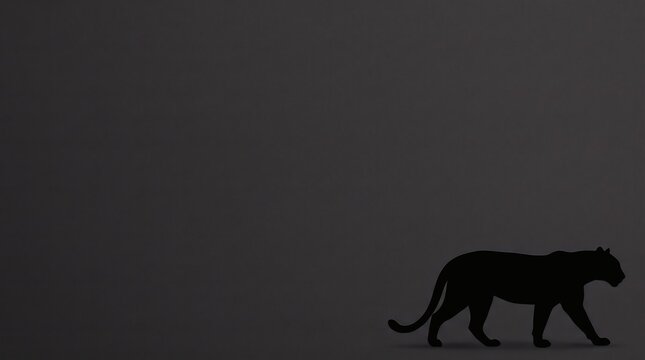 Silhouette of black panther prowling on dark background