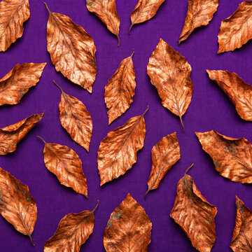 Pattern of dry orange metallic leaves on violet background
