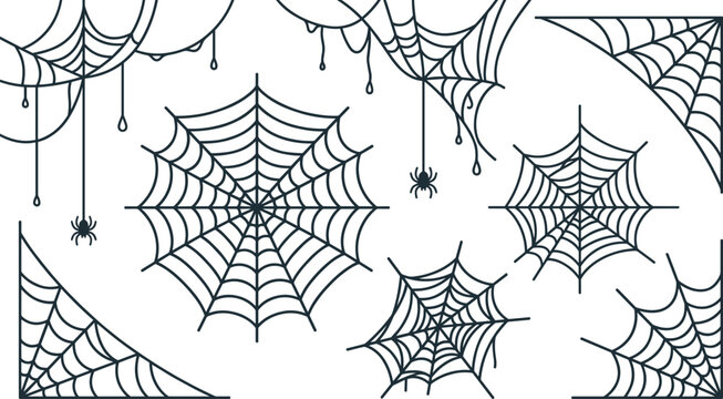 Halloween spooky spider webs set . Black linear cobwebs, hanging spiders, corner decorations, creepy vector illustration .