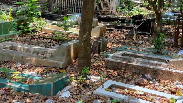 Graveyard area with tombstones and plants