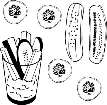 Pickled cucumber slices and french fries snack sketch for pub food menu. Vector illustration