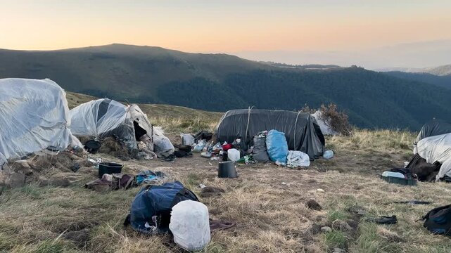 Roma camp under Velykyi Verkh mountain on Borzhava ridge in Ukraine&rsquo;s Carpathians, tents with scattered belongings, families harvesting blueberries and lingonberries for sale amid disorder