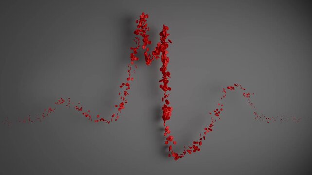 ECG animation left bundle branch block