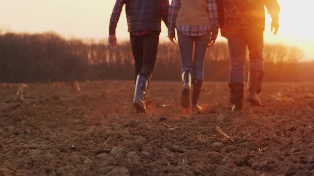 Three farmers walk across ploughed field at sunset, rural landscape cinematic footage.