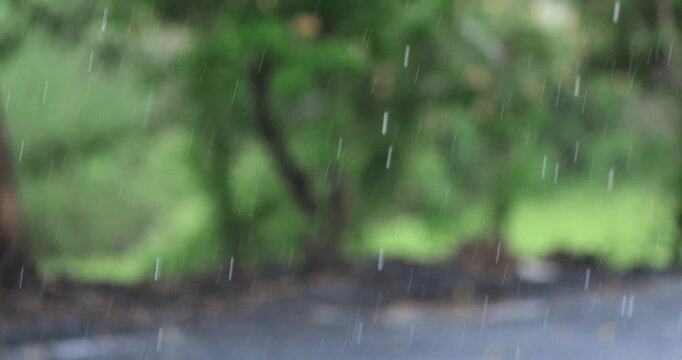 Rain falling against a blurred green nature background. Natural rainy atmosphere with fresh, calm outdoor scenery, perfect for weather, seasonal, environmental, and relaxation projects