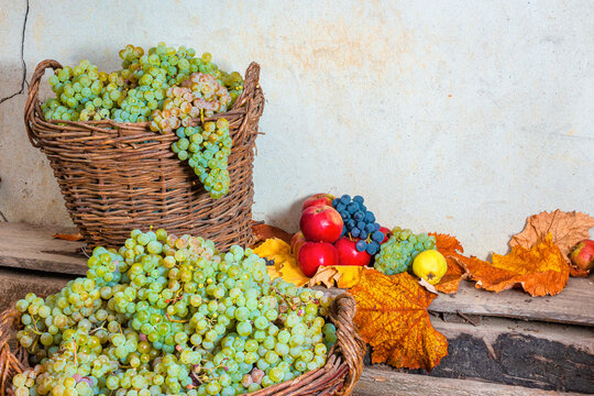 variety of ripe fruits on the wooden plank. autumn harvest rustic composition. rural organic food in fall season. applicable as healthy food background for thanksgiving
