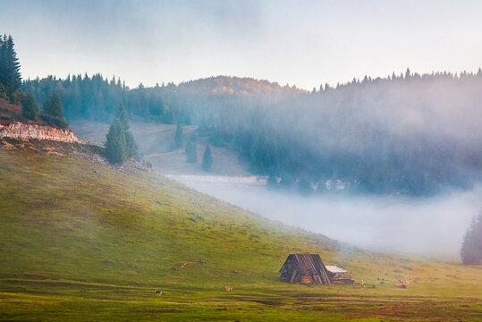 Romania countryside scenery at sunrise in autumn. mountainous landscape with grassy rural fields and meadows. fog in the valley between forested hills. Apuseni mountains
