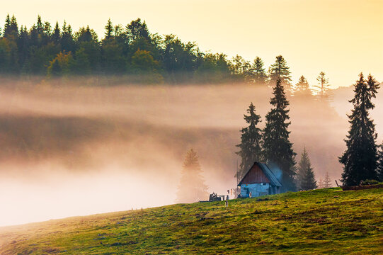 Romania countryside scenery at sunrise in autumn. mountainous landscape with grassy rural fields and meadows. fog in the valley between forested hills. Apuseni mountains
