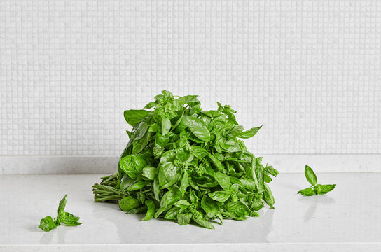 Fresh basil bunch with stems
