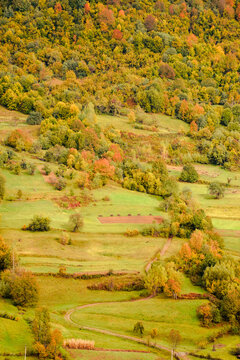 countryside mountain scene. autumnal nature texture of a deciduous forest on a steep hillside. rural area of Uzhanian park of Transcarpathia, Ukraine