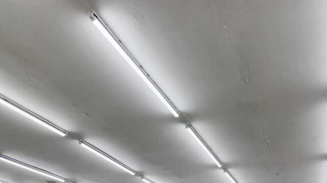 Industrial ceiling lighting with long parallel LED light bars