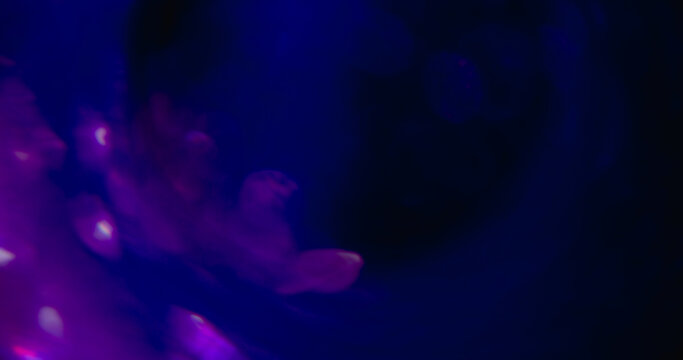 Blur color flare. Light spots. Defocused blue purple neon radiant gradient texture optical flash on abstract illuminated dark black background.