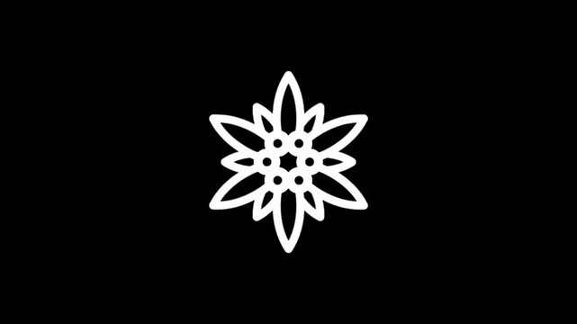 Abstract white flower petals rotating and expanding on a black background