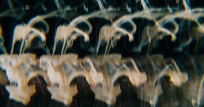 Defocused ink flow. Acrylic smoke spill. Fume pigment yellow blue color vapor rainbow texture water spreading on abstract dark black background.