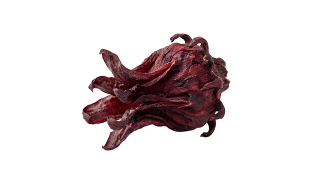 Organic dried hibiscus flower, roselle calyx isolated on white, dehydrated red karkade blossom for herbal tea, natural botanical ingredient