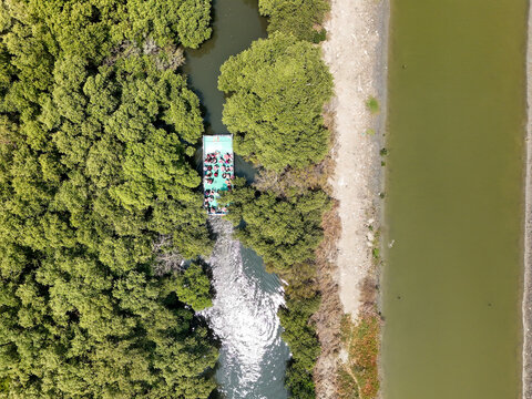 Tourists on a bamboo raft flowing down a stream through the green mangrove trees, enjoying the view of beautiful greenery, in Sihcao Wildlife Reserve in Taijiang National Park, Tainan, Taiwan