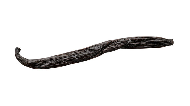 Dried vanilla bean pod isolated on white background, organic aromatic baking spice ingredient, natural dark brown vanilla bean for culinary recipes