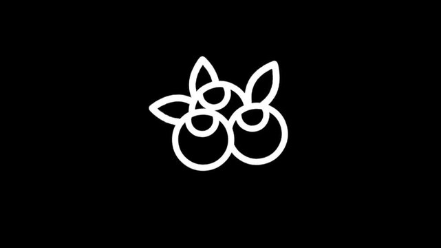 Abstract white flower petals forming a circular pattern on black background