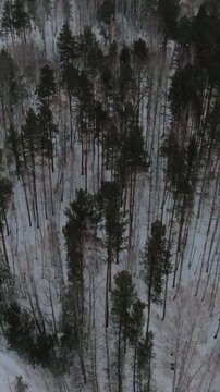 Drone footage over a vast winter landscape with snow-covered forest, frozen lakes, and open clearings in the Ural Mountains, Russia, on a cold overcast day