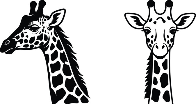 Giraffe Head Silhouette Set. Collection of Giraffe Profile and Front View Wildlife Icons Isolated on White Background