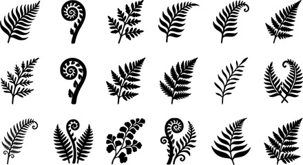 Obraz premium Fern & Frond Curl Silhouette Icon Set. Collection of nature & wildlife silhouettes, including fern & frond curl, detailed plant and flower shapes, and more.