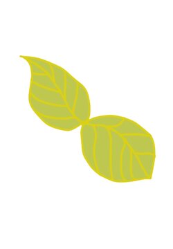 Leafes